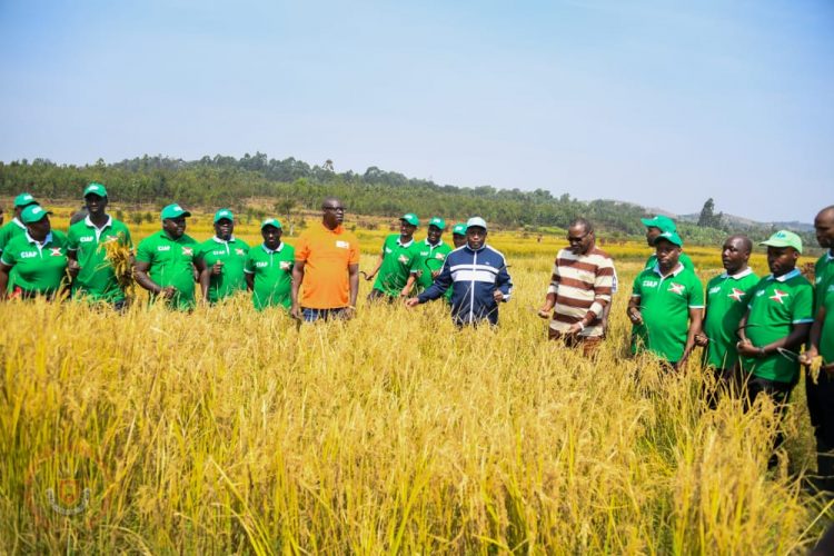 Umukuru w’Igihugu asaba abarimyi gukorera mu mashirahamwe kugira barwize umwimbu