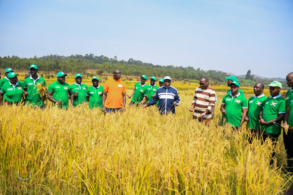Umukuru w’Igihugu asaba abarimyi gukorera mu mashirahamwe kugira barwize umwimbu