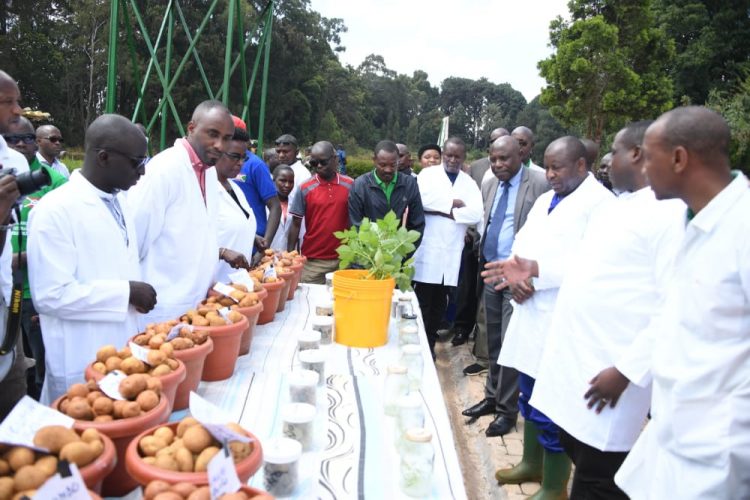 Umukuru w’igihugu asaba  ISABU gukorana n’abigenga mu kugwiza imbuto zirobanuye kugira hagwizwe umwimbu
